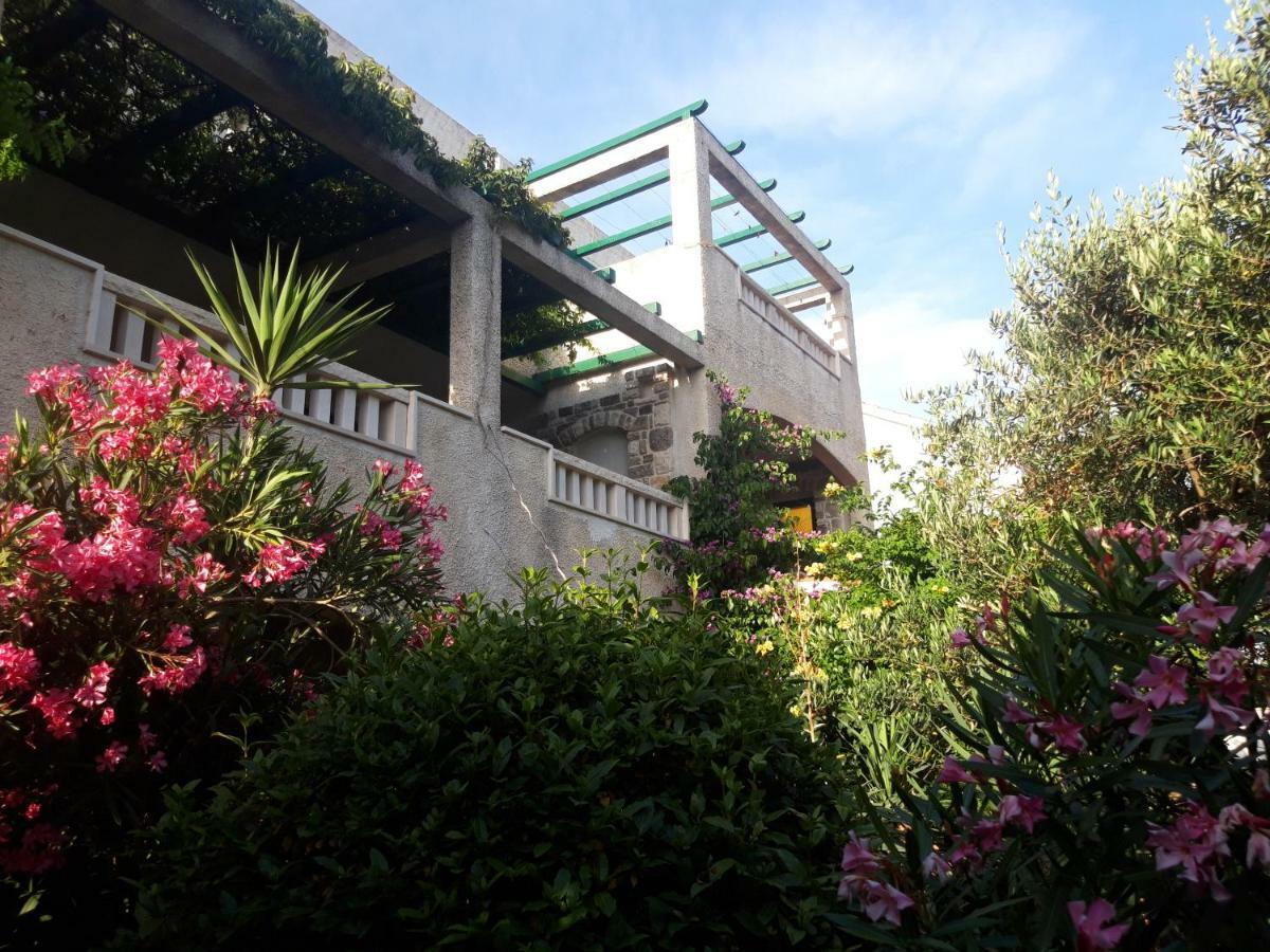 Apartments Radic 볼 외부 사진